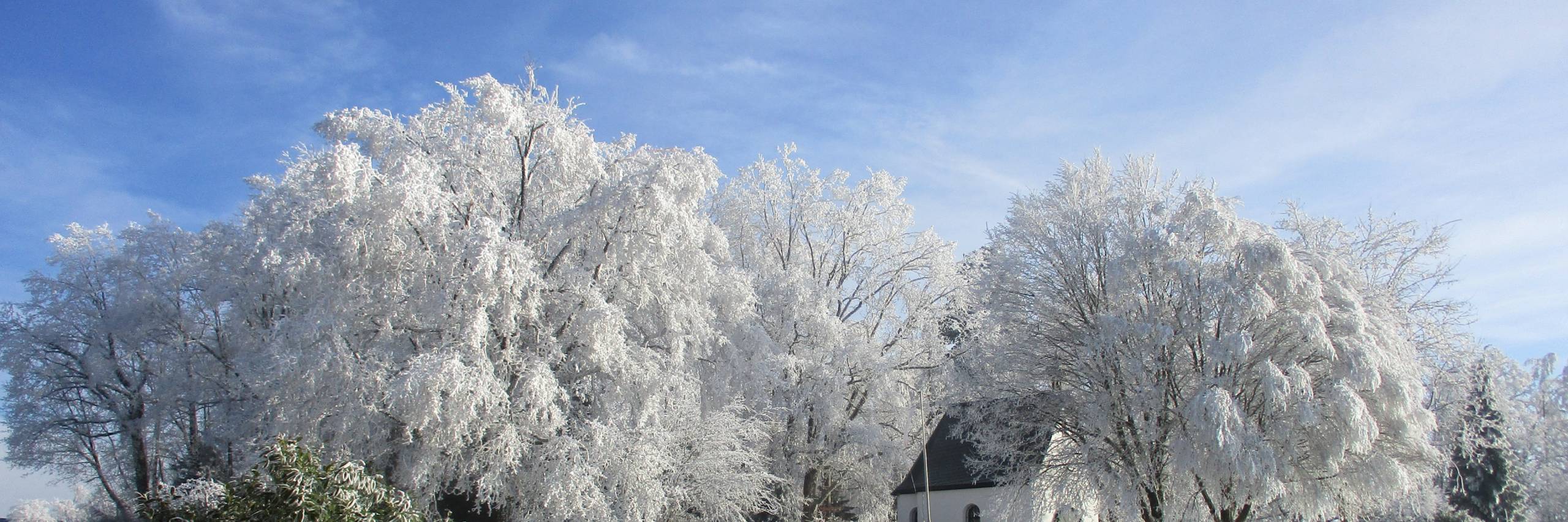 50 Jahre Dilexit Ecclesiam Heiligtum